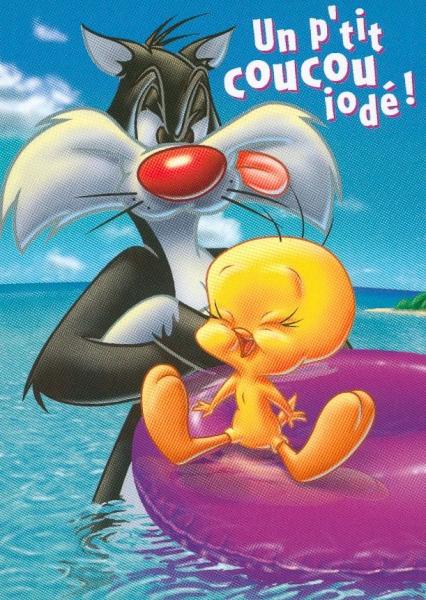 titi et grosminet